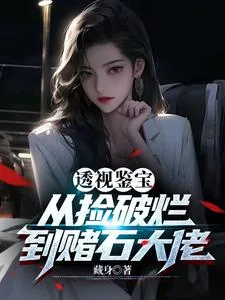 透视鉴宝:从捡破烂到赌石大佬
